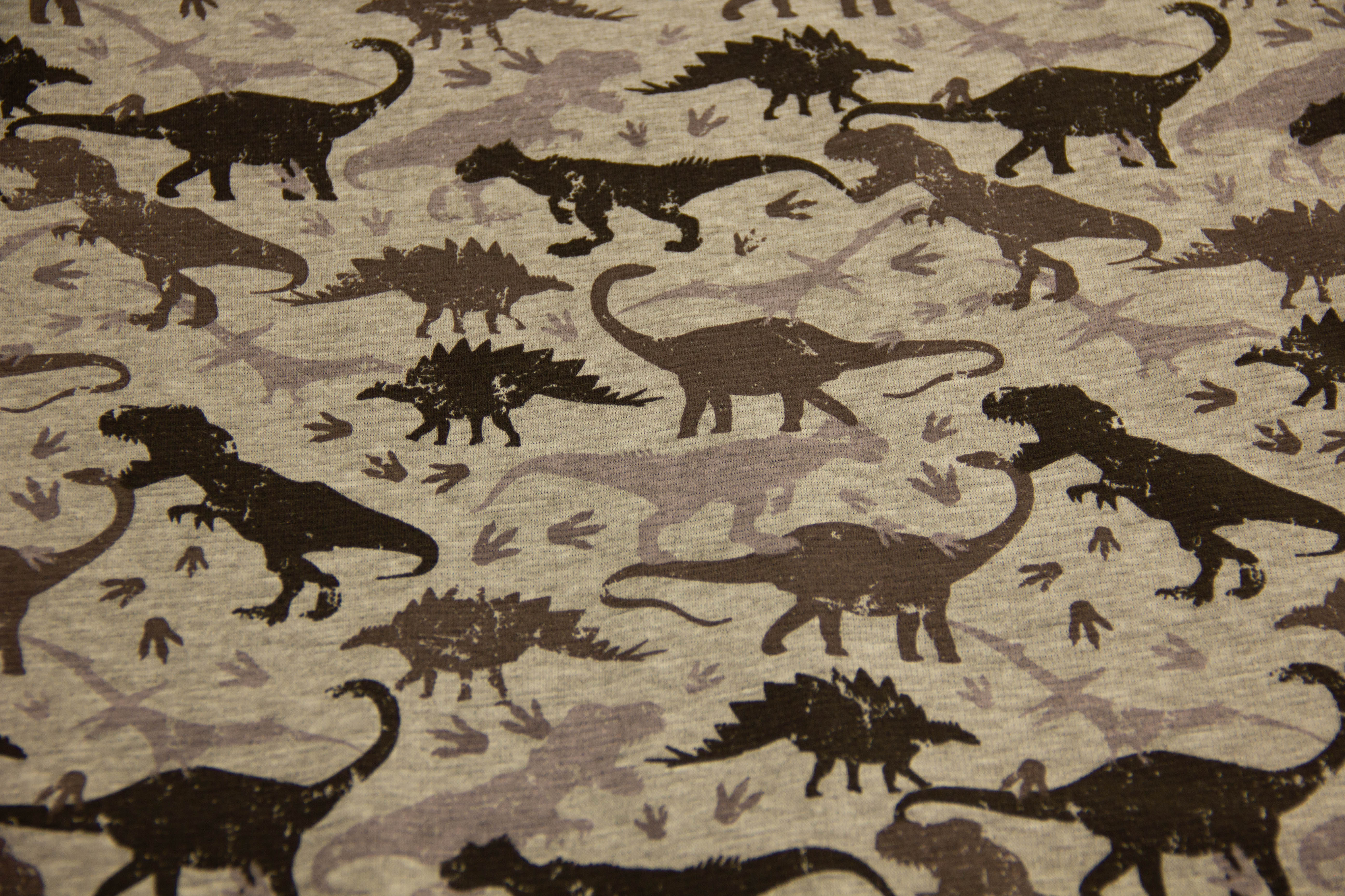 Alpenfleece mit Dinosauriern, meliert, grau, 0,5 m