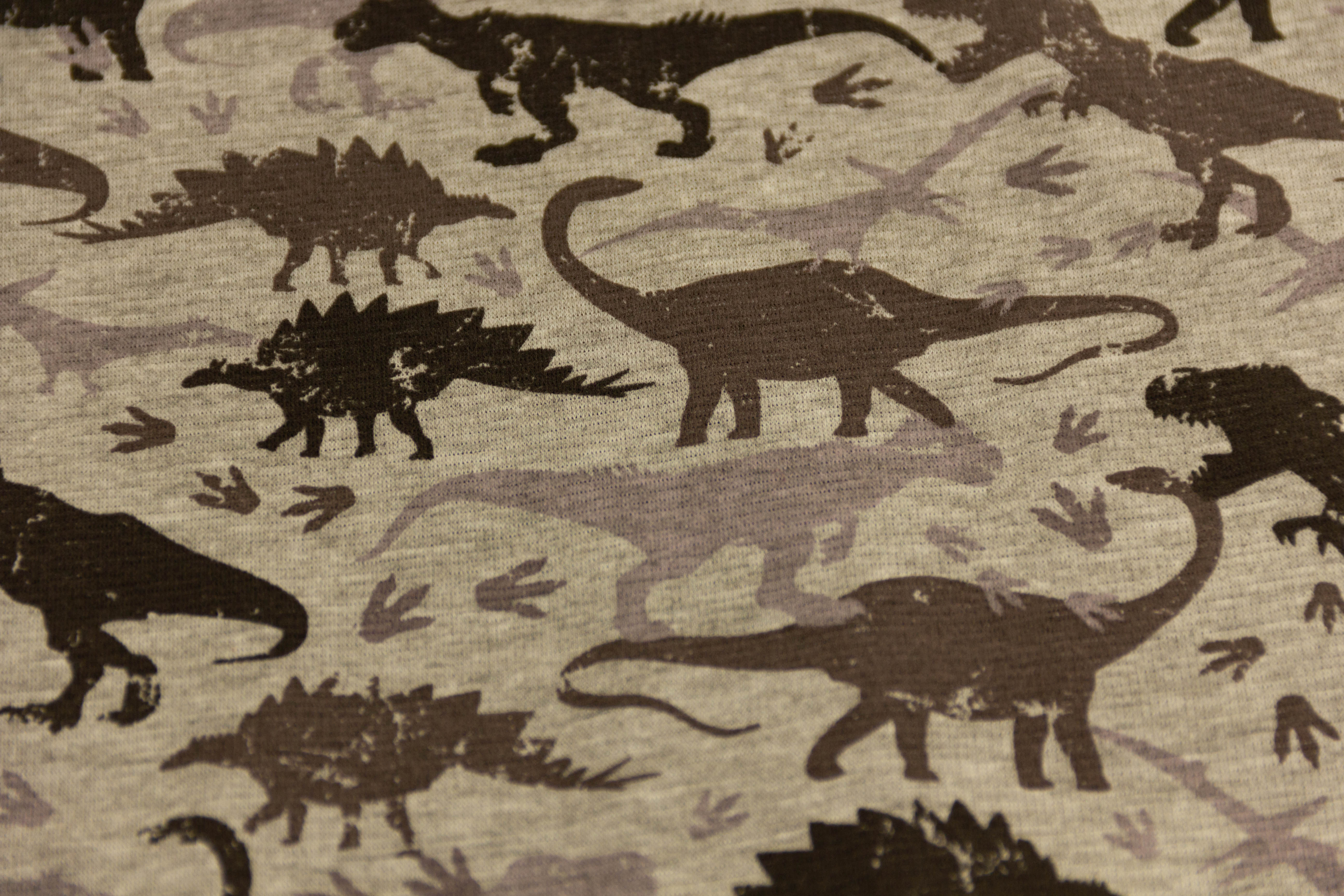 Alpenfleece mit Dinosauriern, meliert, grau, 0,5 m