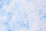 Jersey Allover "Breeze" by Thorsten Berger, Swafing, blau, 0,5 m