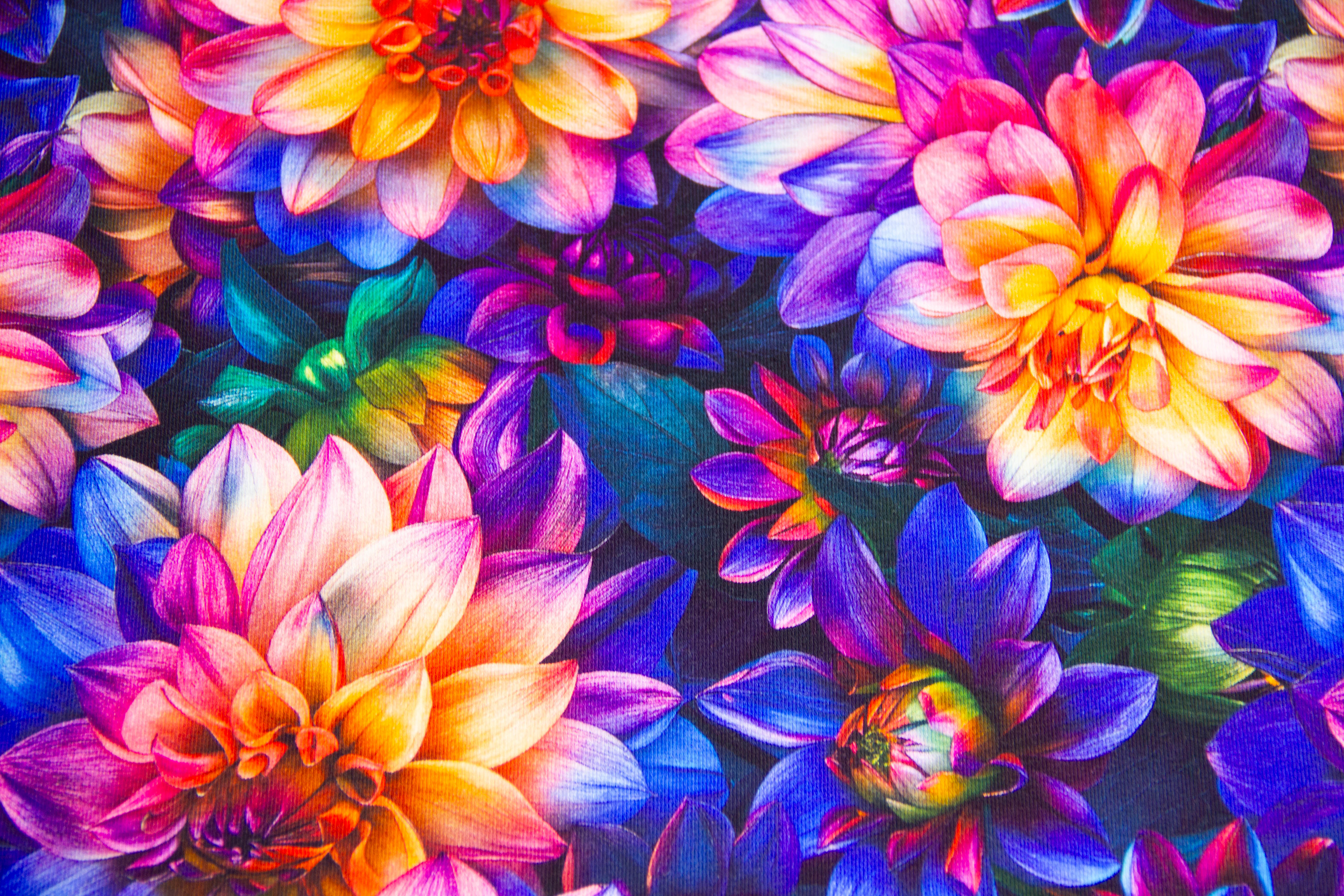 French Terry, Digital Print, Full Floral Multicolor, Blumen, 0,5 m