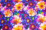 French Terry, Digital Print, Full Floral Multicolor, Blumen, 0,5 m