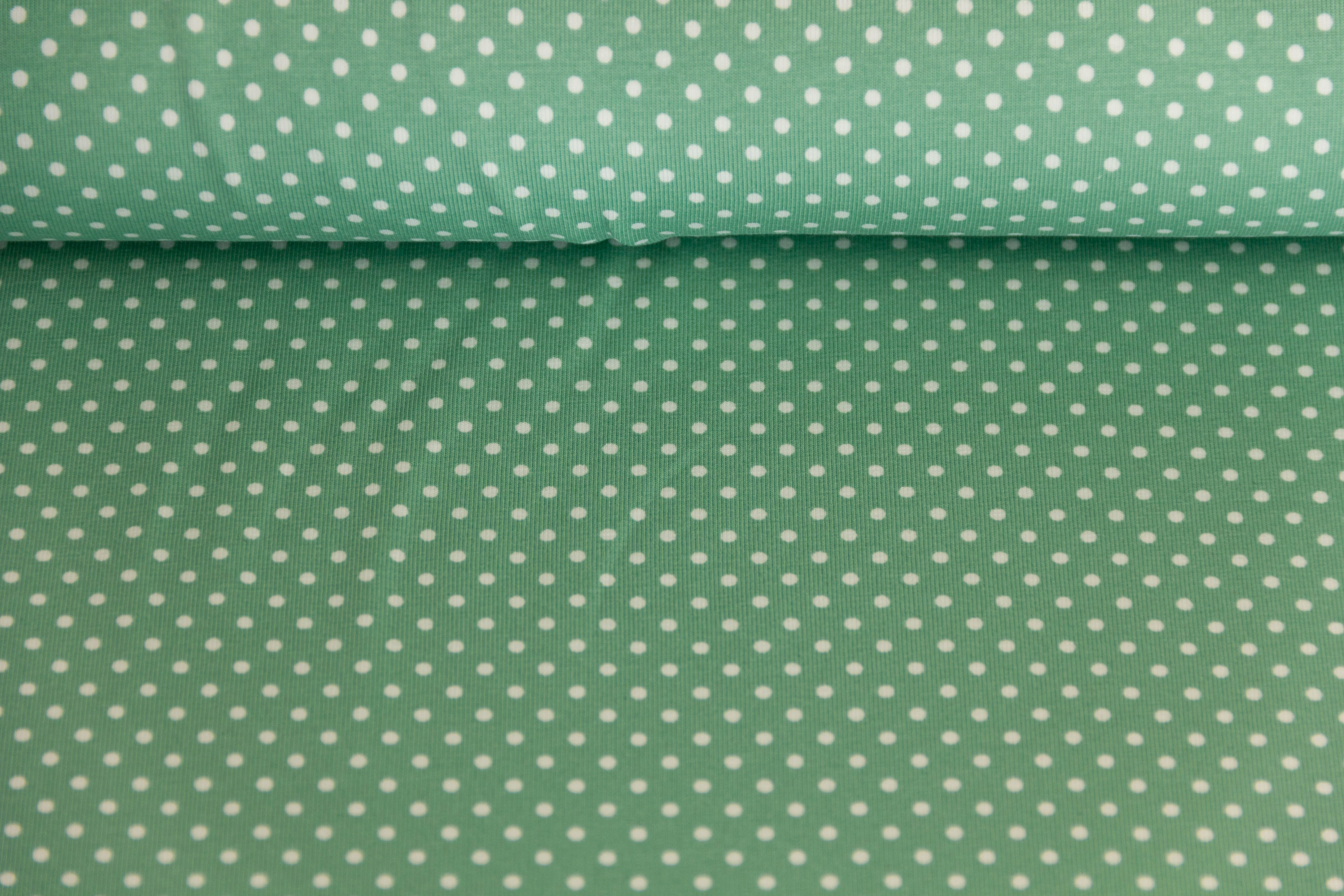 Jersey Pindots, mit Punkten, pastellgrün, weiß, 0,5 m