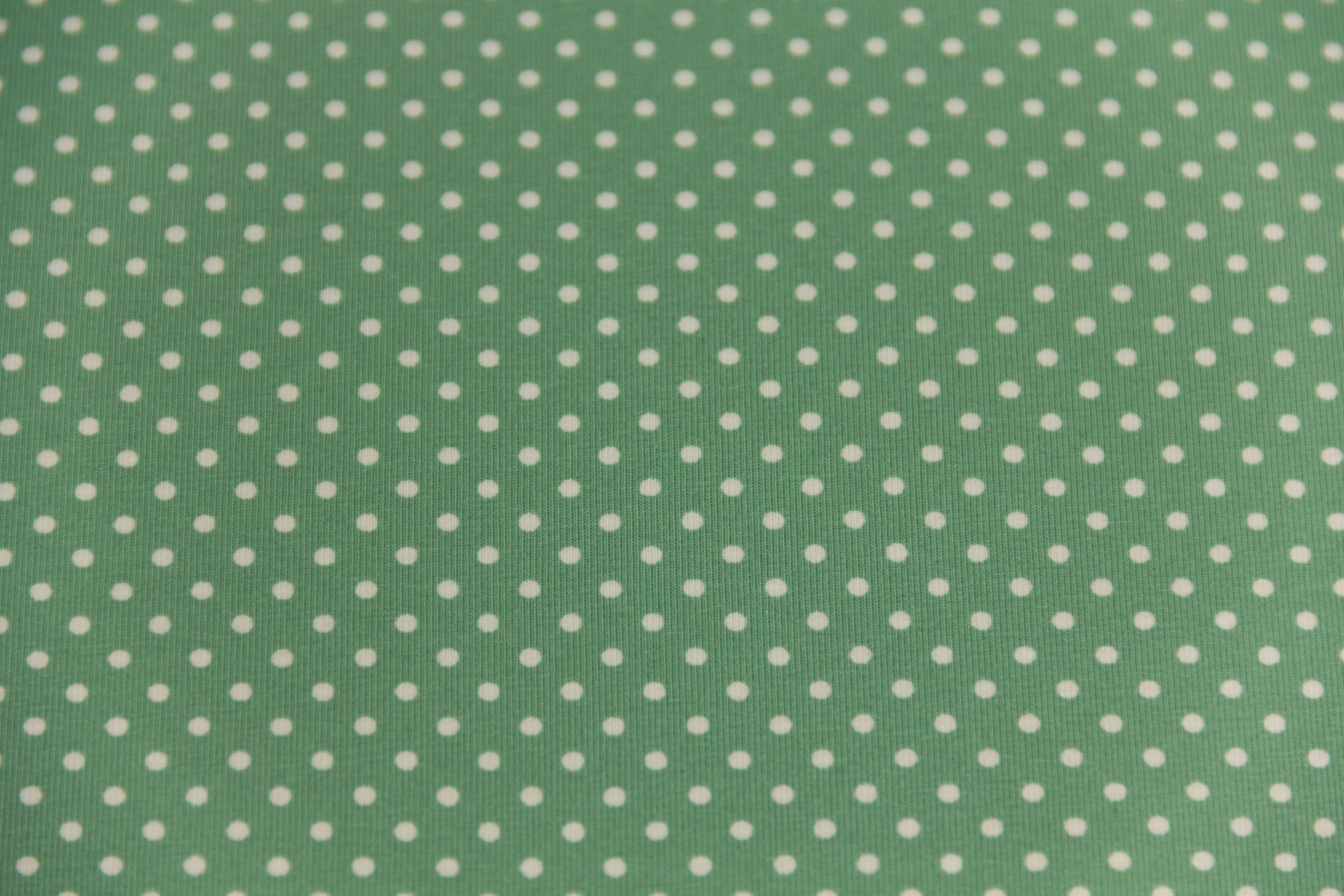 Jersey Pindots, mit Punkten, pastellgrün, weiß, 0,5 m