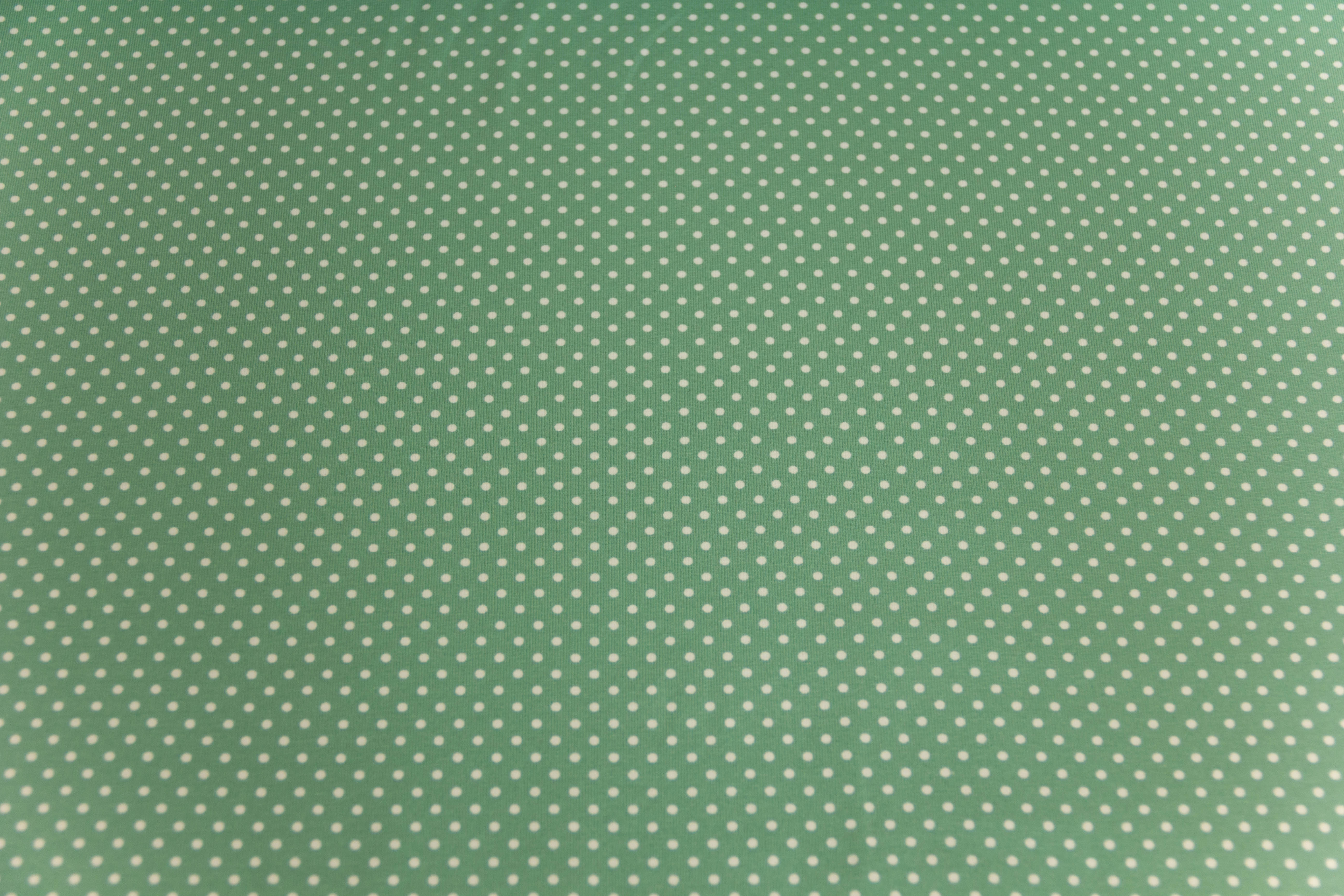 Jersey Pindots, mit Punkten, pastellgrün, weiß, 0,5 m