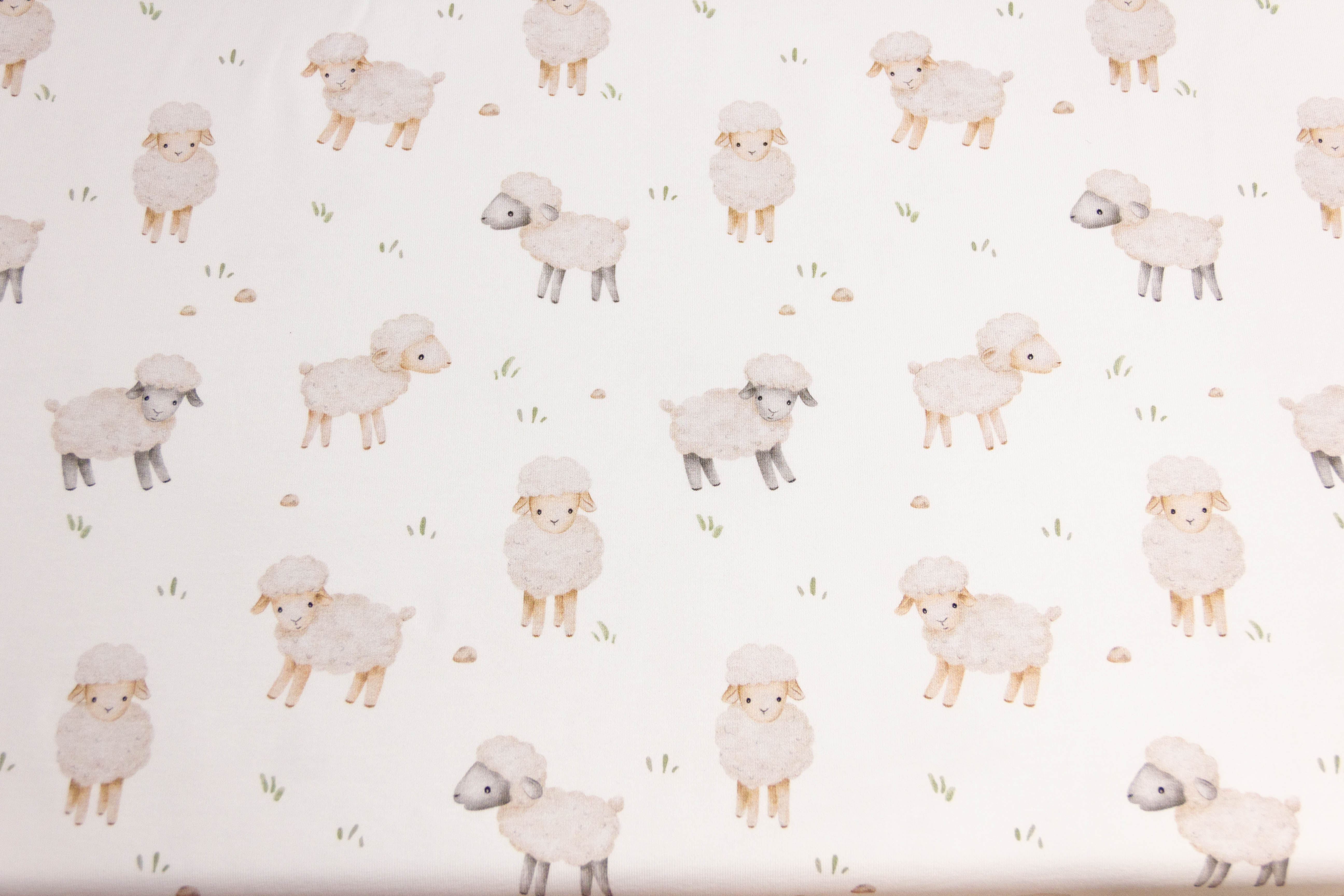 Jersey mit Schafen, weiß, Fräulein von Julie, FVJ-4287, 0,5 m