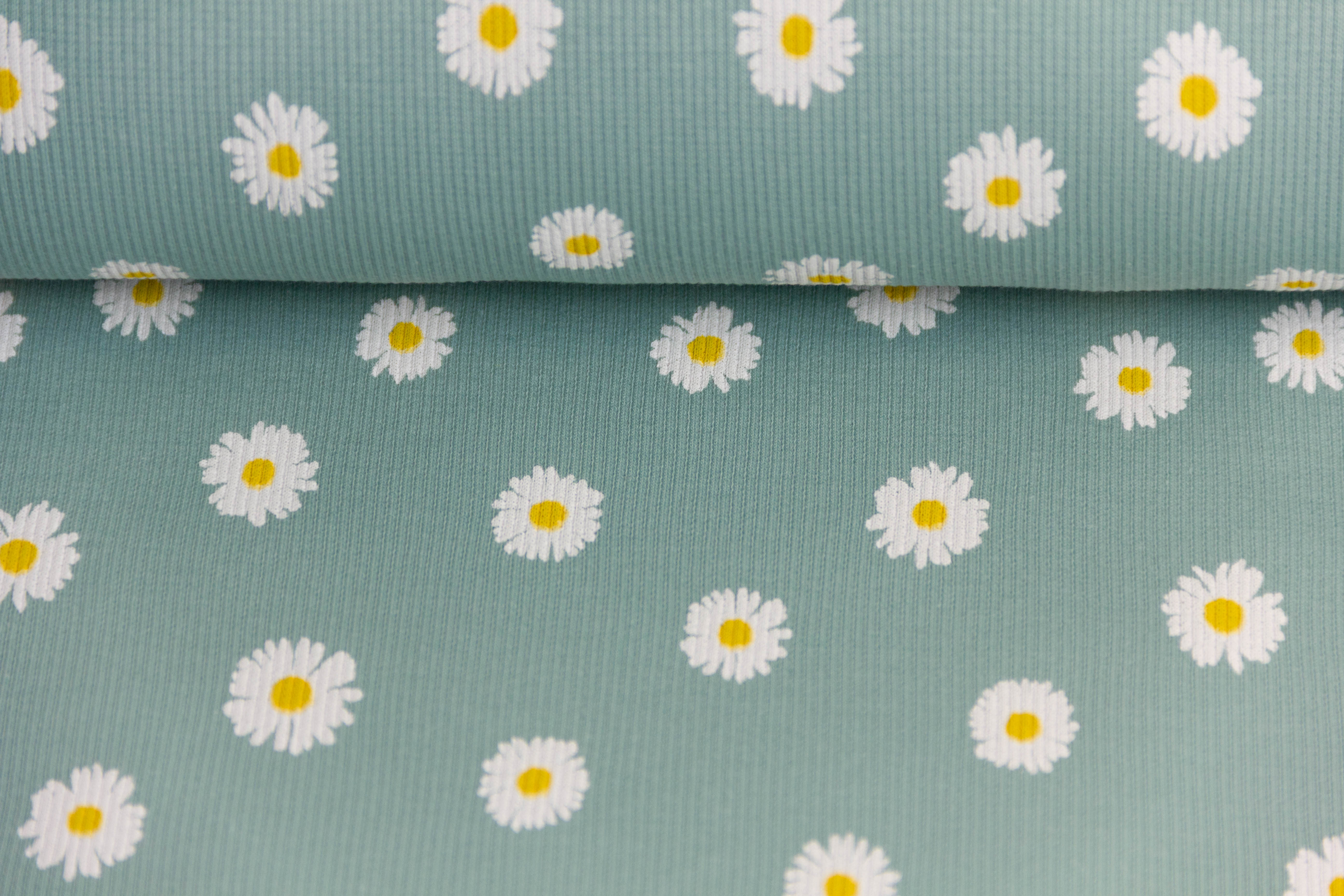 Rib Jersey, Rippenjersey mit Gänseblümchen, altmint, 0,5 m