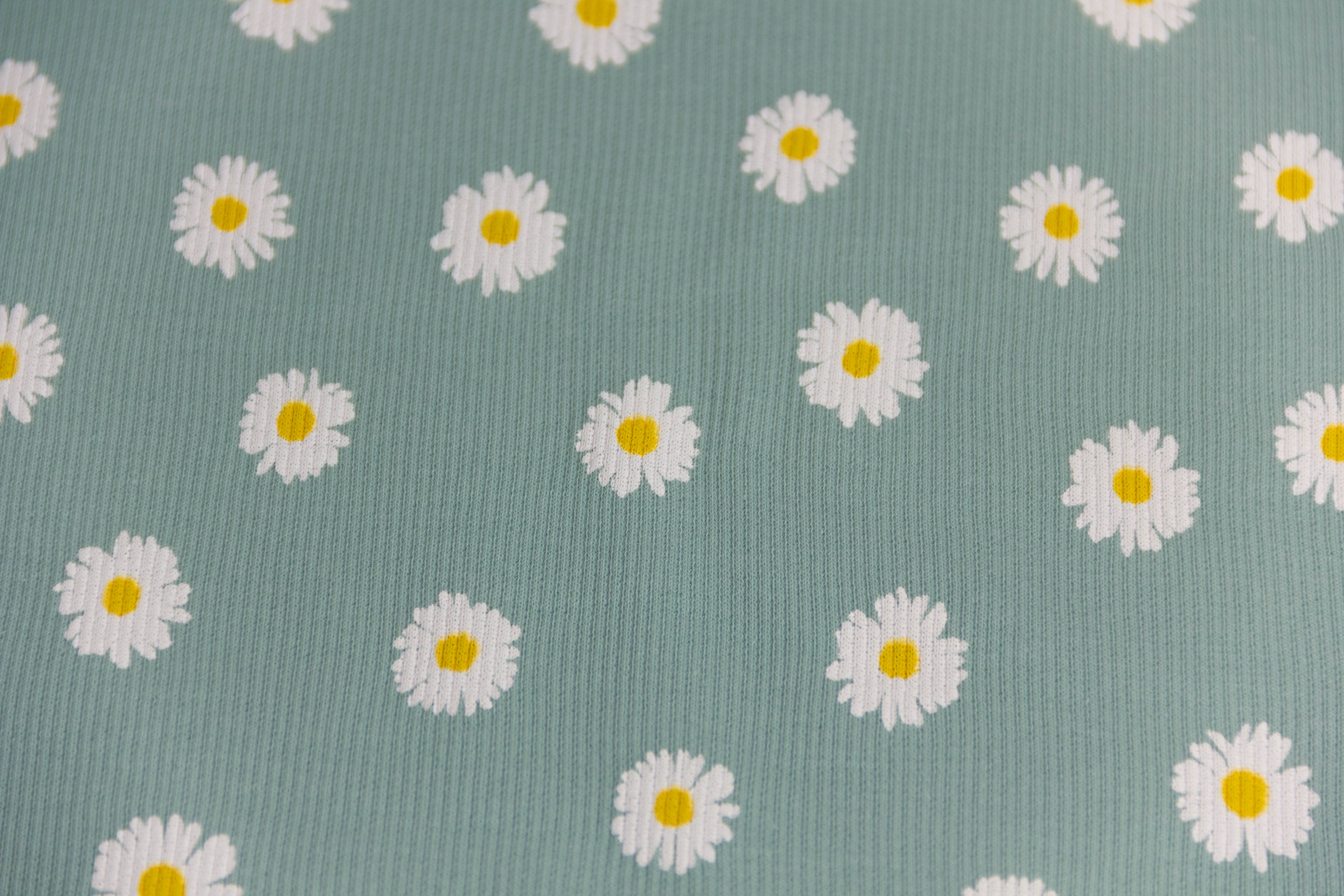 Rib Jersey, Rippenjersey mit Gänseblümchen, altmint, 0,5 m