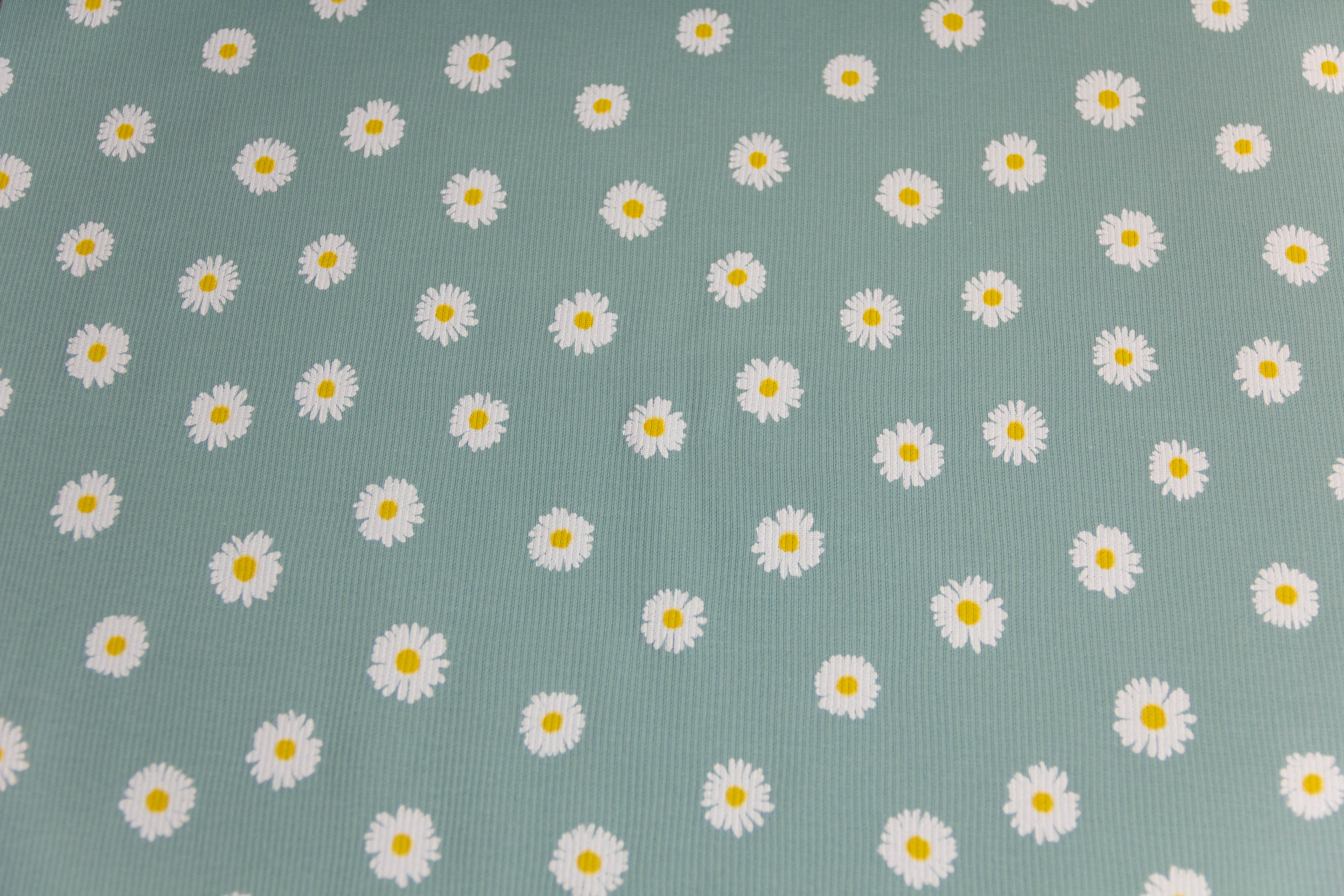 Rib Jersey, Rippenjersey mit Gänseblümchen, altmint, 0,5 m