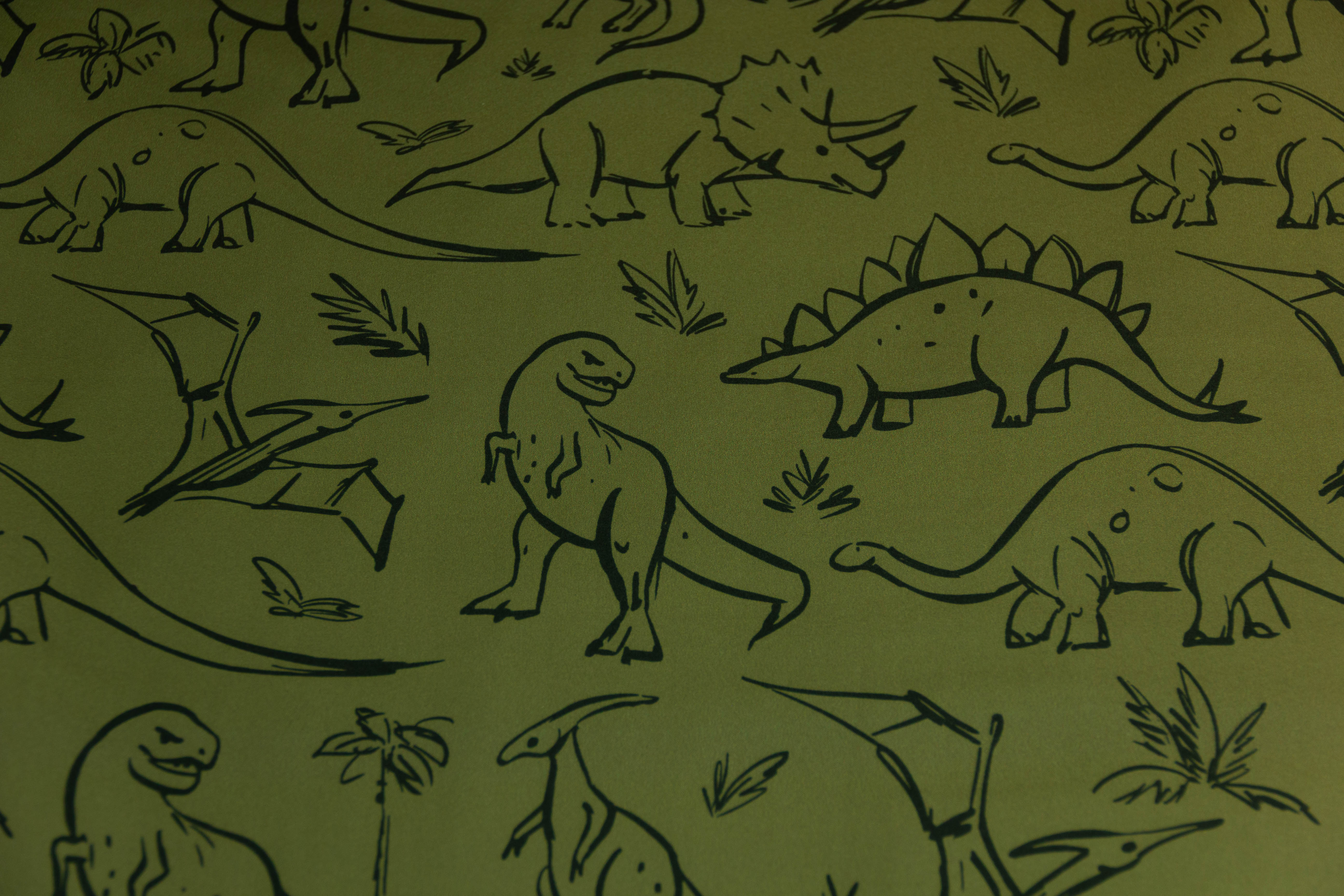 Softshell mit Dinosauriern, khaki, grün, 0,5 m