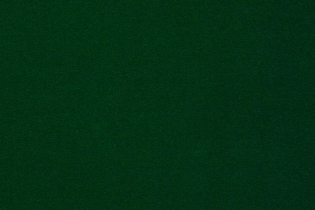 Jersey Basic "Vanessa" by Swafing, uni, dunkelgrün, 0,5 m
