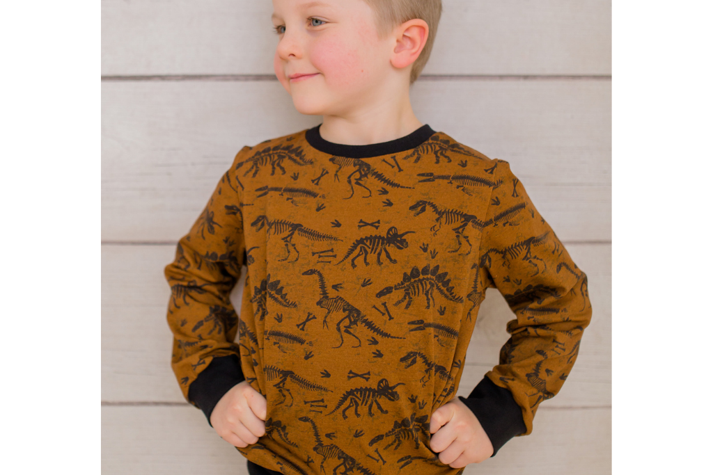 Sweat mit Dinosauriern, terracotta, 0,5 m