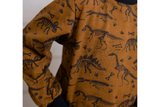 Sweat mit Dinosauriern, terracotta, 0,5 m