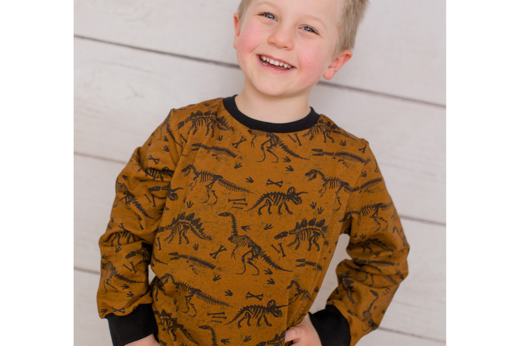 Sweat mit Dinosauriern, terracotta, 0,5 m