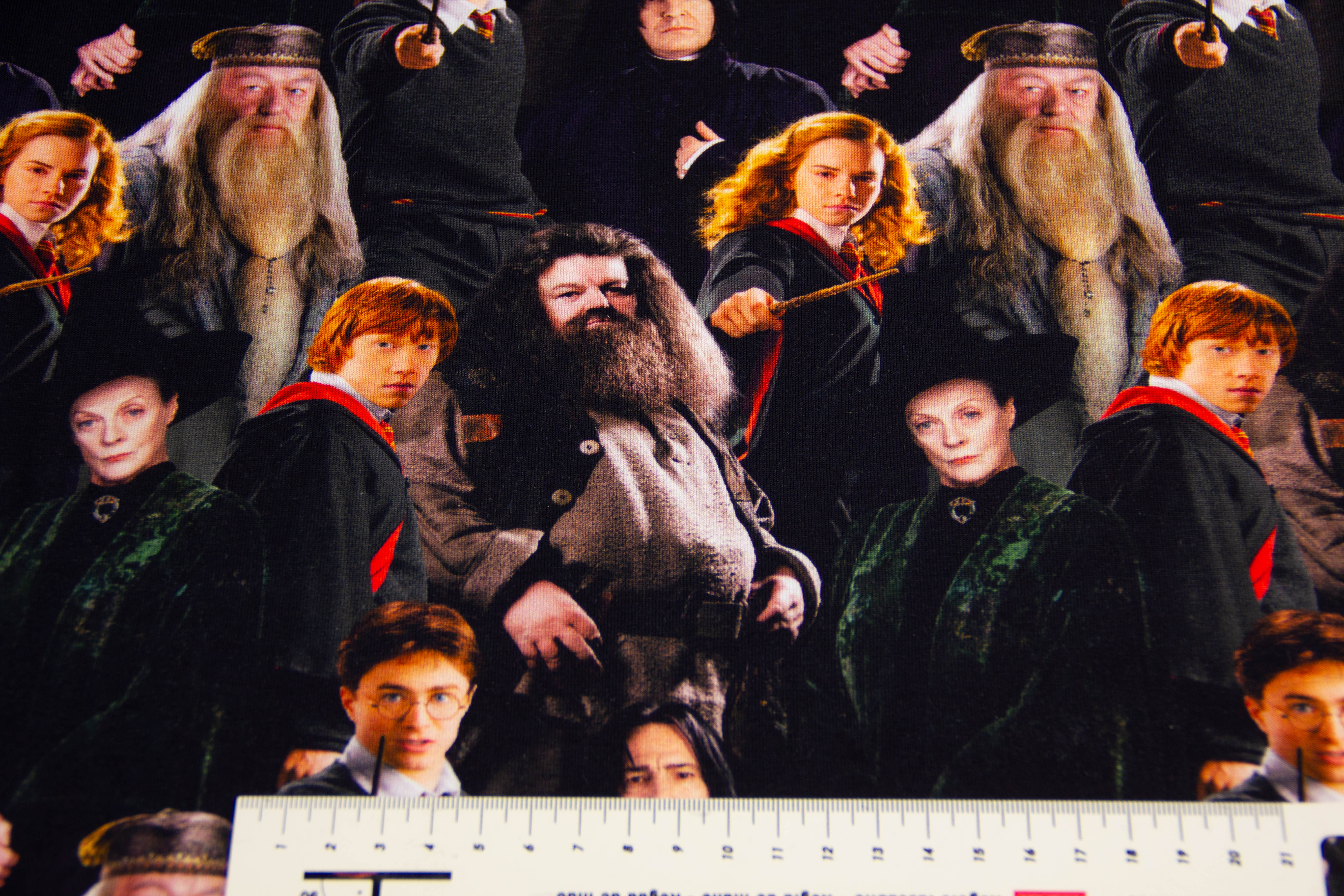 Restmenge 90 cm Jersey Digital "Harry Potter", schwarz