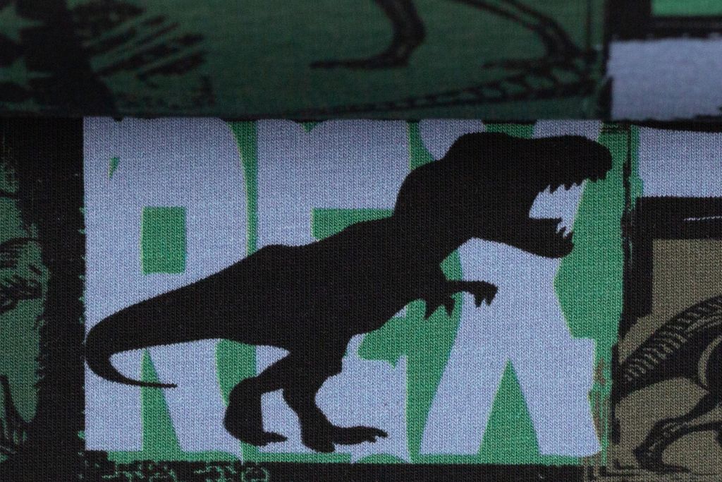 Sweat angeraut, mit Dinosauriern, grün, 0,5 m