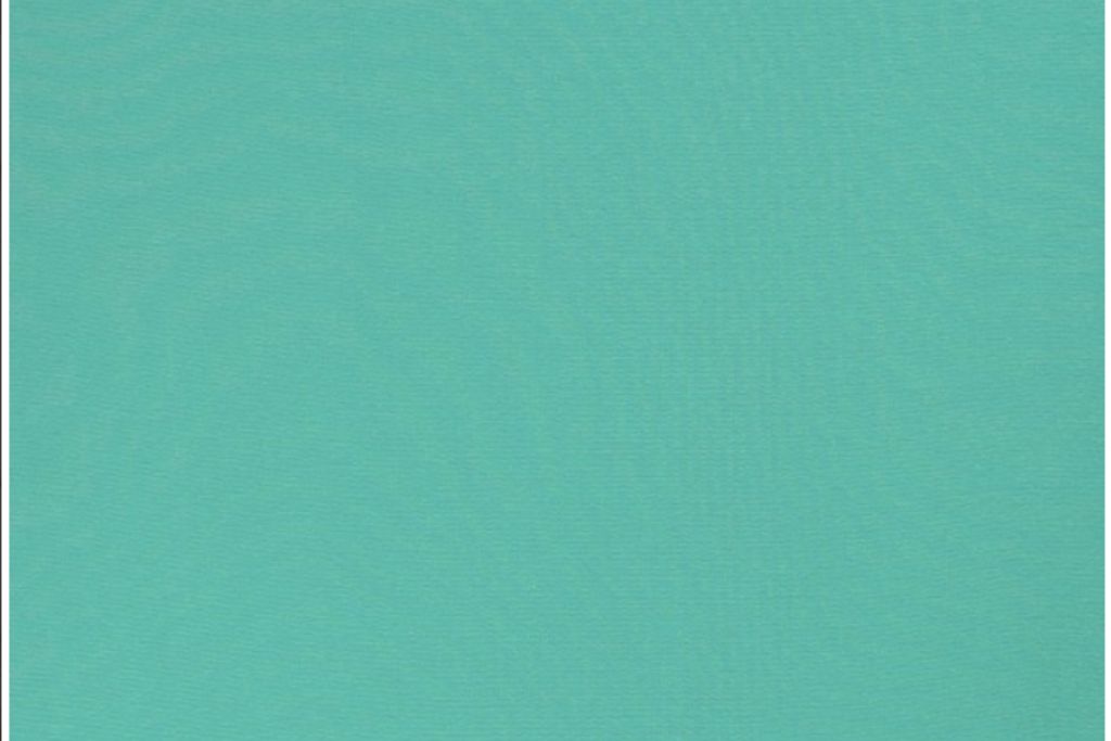 Jersey Basic "Vanessa" by Swafing, uni, mint, 0,5 m