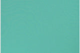 Jersey Basic "Vanessa" by Swafing, uni, mint, 0,5 m