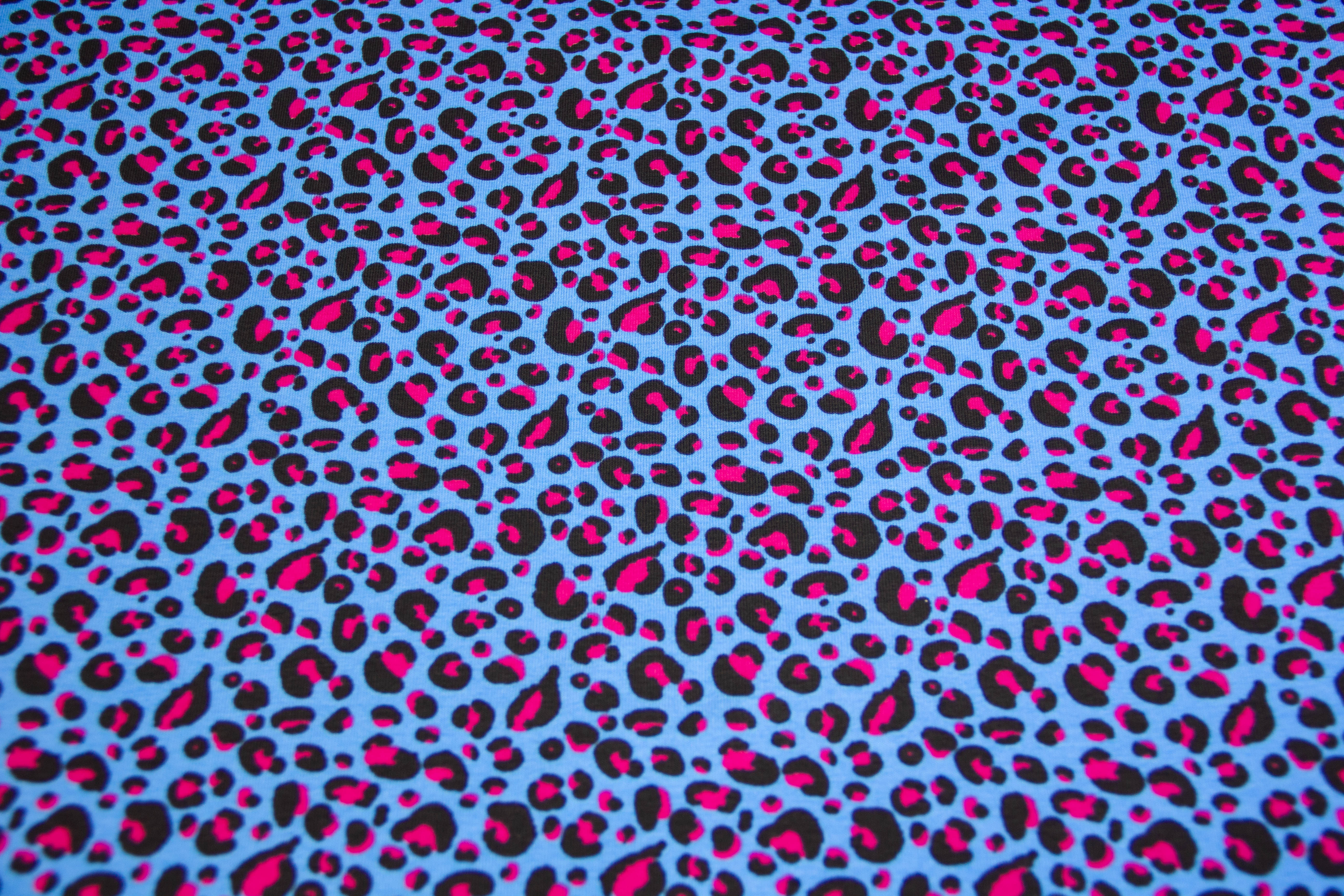 Restmenge 40 cm Jersey Leoprint, blau, pink