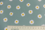 Rib Jersey, Rippenjersey mit Gänseblümchen, altmint, 0,5 m
