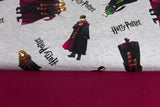 Stoffpaket Jersey + Bündchen "Harry Potter", grau meliert, bordeaux