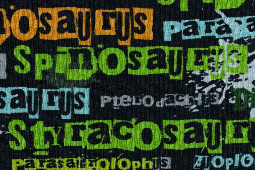 Stoffpaket Sweat mit Dinosaurier-Namen, schwarz, grün